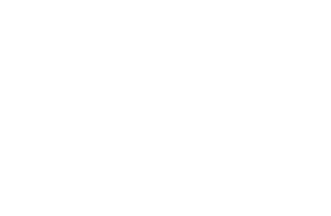 Marvex Consulting